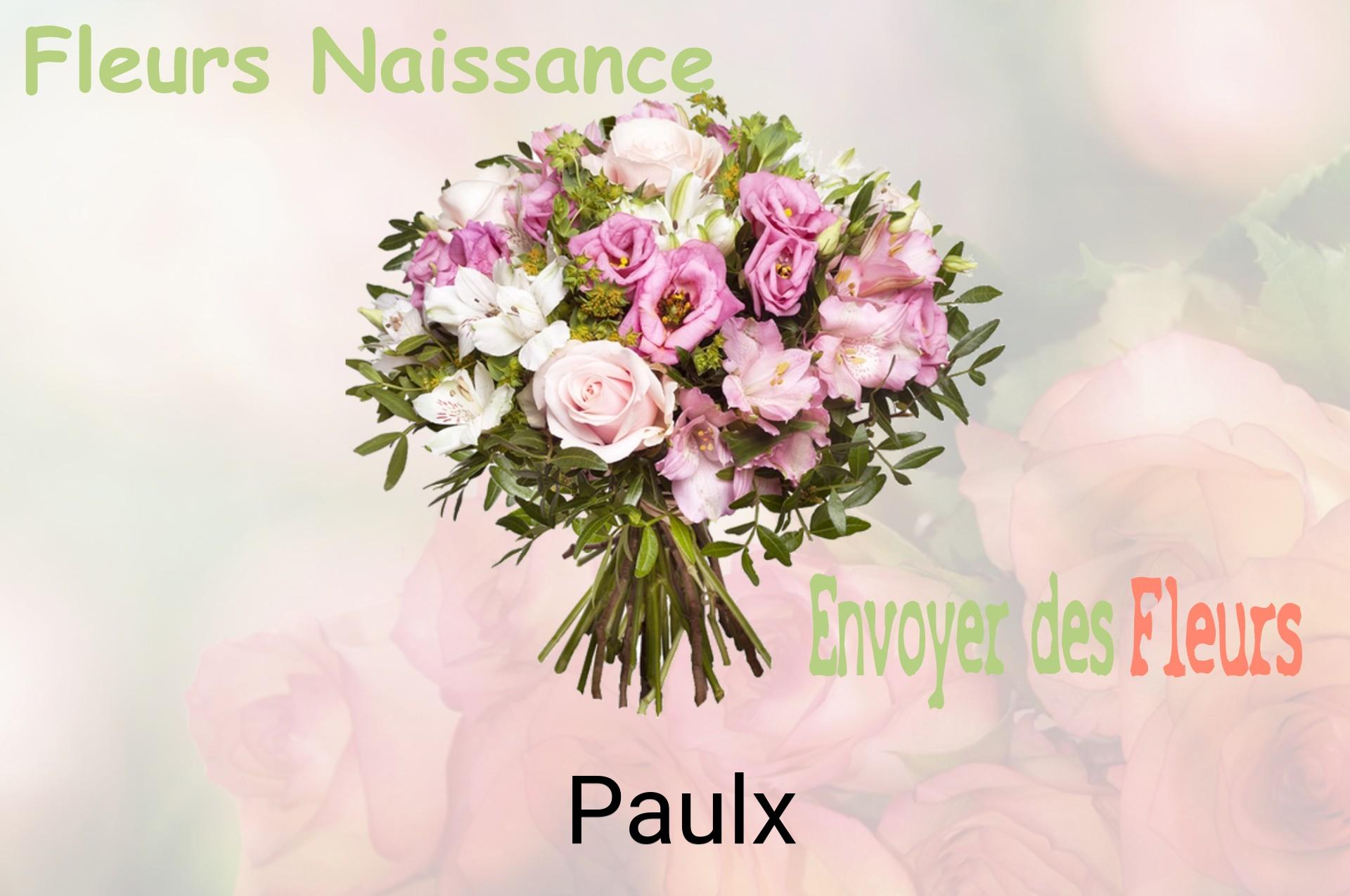 Bouquet de fleurs de naissance livré à Paulx